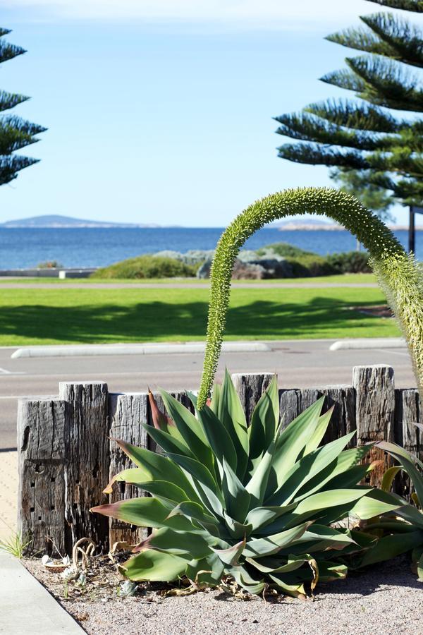 Esperance Island View Apartments Luaran gambar